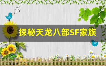 <b>探秘天龙八部SF家族办公室背后的商业智慧</b>