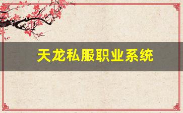 <b>深入了解天龙私服中的职业与玩法系统</b>