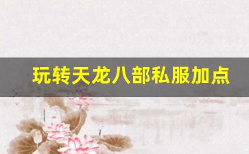 <b>玩转天龙八部私服加点技巧，打造最强角色组合</b>