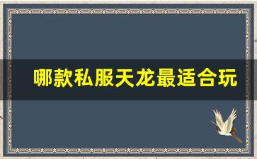 <b>哪款私服天龙最适合玩家入驻？</b>