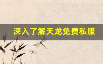 <b>深入了解天龙免费私服的最新玩法</b>