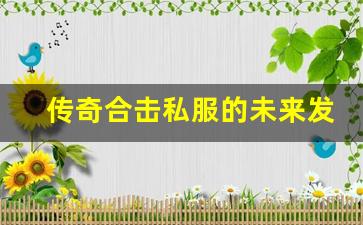 <b>传奇合击私服的未来发展趋势与创新玩法</b>