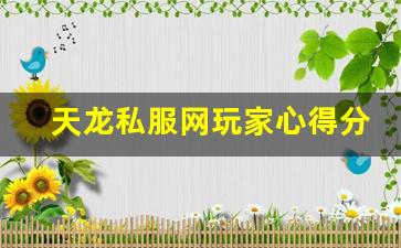 <b>天龙私服网玩家心得分享：提升游戏乐趣的技巧</b>