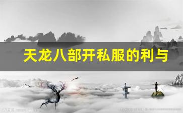 <b>天龙八部开私服的利与弊分析</b>