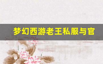 <b>梦幻西游老王私服与官方服务器的区别，哪个更适合你</b>