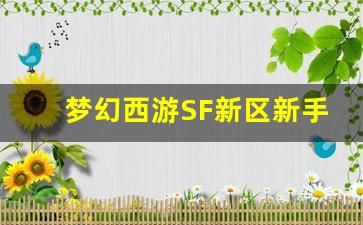 <b>梦幻西游SF新区新手指南 快速上手的秘诀</b>