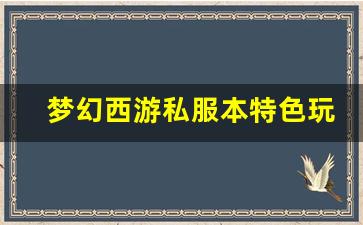 梦幻西游私服本特色玩法解析