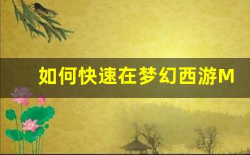 如何快速在梦幻西游Mac私服中提升角色等级