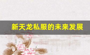 <b>新天龙私服的未来发展趋势，玩家期待哪些新变化</b>