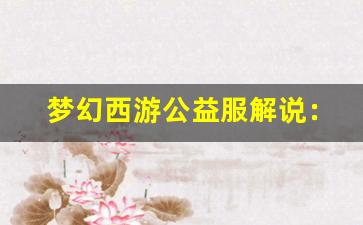 <b>梦幻西游公益服解说：如何在新服中迅速崛起</b>