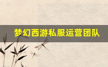 <b>如何辨别靠谱的梦幻西游私人私服服务器</b>