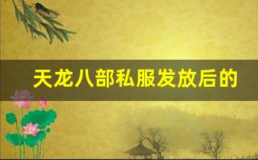 天龙八部私服发放后的挑战与机遇分析