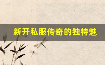 <b>新开私服传奇的独特魅力与竞争优势</b>