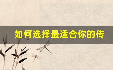 <b>如何选择最适合你的传奇合击私服网</b>