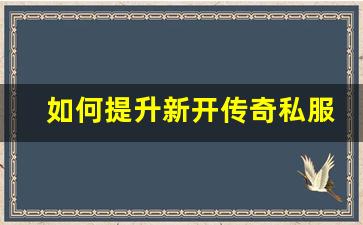 <b>如何提升新开传奇私服发布网站的流量与曝光度</b>