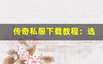 <b>传奇私服下载教程：选择合适的服务器让你畅玩</b>