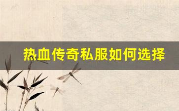 <b>热血传奇私服如何选择适合的服务器提升游戏体验</b>