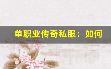 <b>单职业传奇私服：如何选择最适合你的服务器</b>