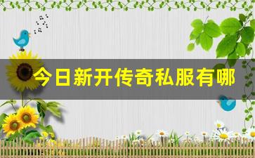 <b>今日新开传奇私服有哪些特色？带你一探究竟</b>