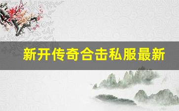 <b>新开传奇合击私服最新玩法，战斗更加刺激</b>