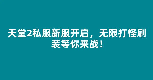 天堂2私服新服开启，无限打怪刷装等你来战！