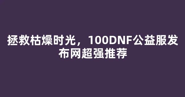 拯救枯燥时光，100DNF公益服发布网超强推荐