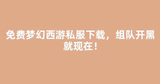 免费梦幻西游私服下载，组队开黑就现在！