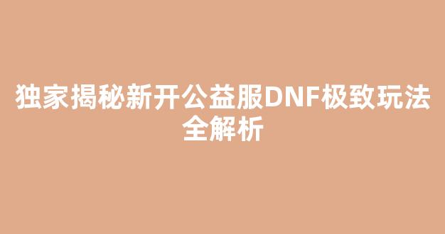 独家揭秘新开公益服DNF极致玩法全解析